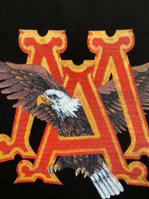 wholesale quality amiri shirts model no. 193